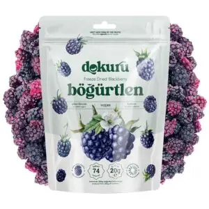 dokuru freeze dried böğürtlen 20gr dondurularak kurutulmuş böğürtlen kurusu meyve cipsi