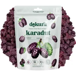 dokuru freeze dried karadut 20gr dondurularak kurutulmuş karadut kurusu meyve cipsi